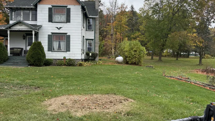 Land Clearing Services Land Clearing Services
