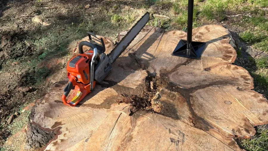Stump Removal Services Stump Removal Services